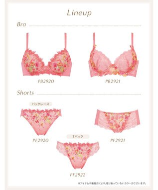 Wing ブラジャー Wing Lesiage ふっくらまる胸メイク やさしいフィット感 【2920シリーズ】 パッド有 ブラ PB2920 ウイング／ワコール オレンジ