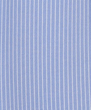 J.PRESS LADIES L 【WEB限定・洗える】ストライプジャージー フレア カットソー 【WEB限定】サックスストライプ系