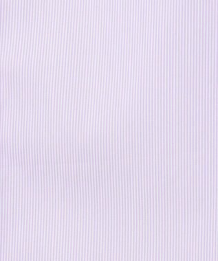 J.PRESS LADIES 【洗える】BEZ VEGA ストライプ ピンタック ブラウス ふじ色系1