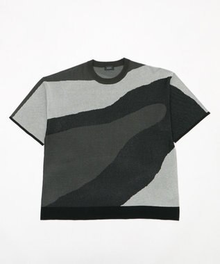 WEGO ジャガードニットT（SS） 柄2