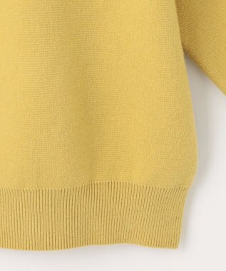 ANY 【洗える】スウェットライクフーディ イエロー