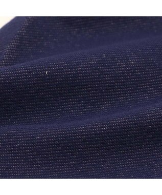 PET PARADISE J.PRESS デニム風 Ｔシャツ 小型犬 ダークインディゴブルー