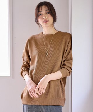 ANY L 【洗濯機可】ダブルフェイスジャージープルオーバー キャメル