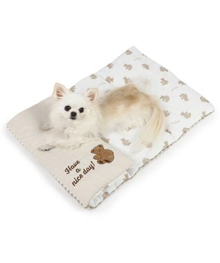 PET PARADISE ペットパラダイス クールロールマット 《くまちゃん 水玉柄》 小型犬 くまちゃん 水玉柄