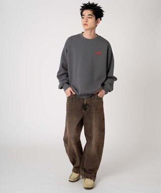 WEGO 【裏起毛/ユニセックス着用ITEM/SMLサイズ展開】アソートグラフィックプルオーバー（4） 柄56