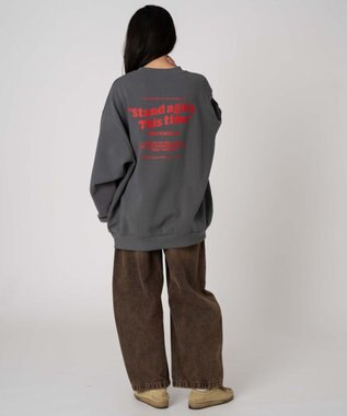 WEGO 【裏起毛/ユニセックス着用ITEM/SMLサイズ展開】アソートグラフィックプルオーバー（4） 柄56