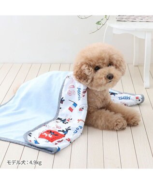 PET PARADISE リサとガスパール クール ブランケット 《パリ柄》 小型犬 パリ柄