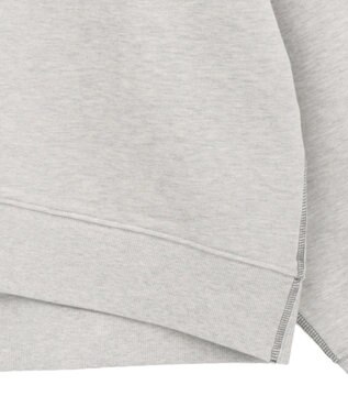 AMERICAN HOLIC 配色ライン裏毛プルオーバー Oatmeal