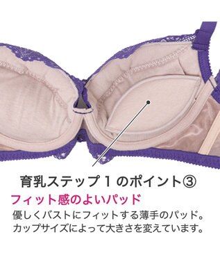 BRADELIS New York 【BRADELIS New York / 育乳補整ブラ・STEP1 集める】ウェンディバックスムーズステップ1ブラ23A2 脇高設計で背中スッキリ ヴァイオレット