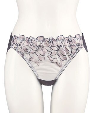 San-ai Resort（三愛水着楽園） エレガントコレクション【2411】ノーマルショーツLL 【northerly】 グレー