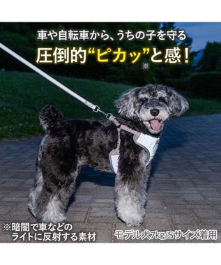 PET PARADISE ペットパラダイス 超反射 切り替え ハーネス＆リード Ｓ 《ブルーグリーン》 ブルーグリーン