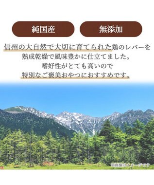 PET PARADISE 信州 鶏レバー ジャーキー 30g 熟成乾燥 国産 -