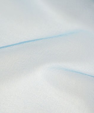 COQ SHEER ORGANZA T シアーTシャツ サックス