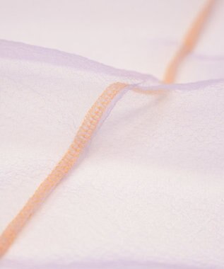 COQ SHEER ORGANZA T シアーTシャツ サックス