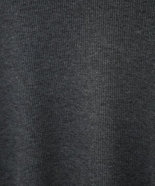 earth music&ecology リブタートルネックプルオーバー Gray