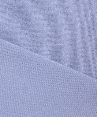 J.PRESS LADIES L 【WEB限定カラーあり・洗える】Vis/Peスパーク バンドカラー ニット ブルー系