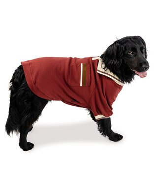 PET PARADISE ペットパラダイス プレミアム ぺティヒート スキッパーＴシャツ 中型犬 大型犬 レッド