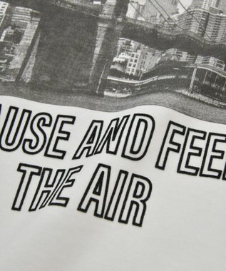 AMERICAN HOLIC アソートロゴロンＴ C