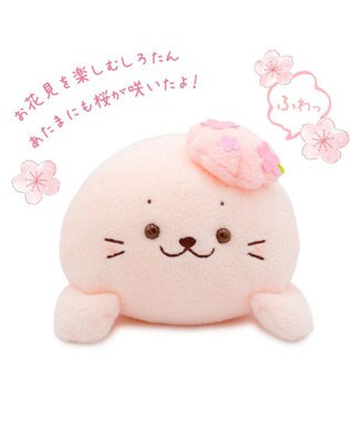 Mother garden しろたん 桜メルティ ぬいぐるみ 36cm 0