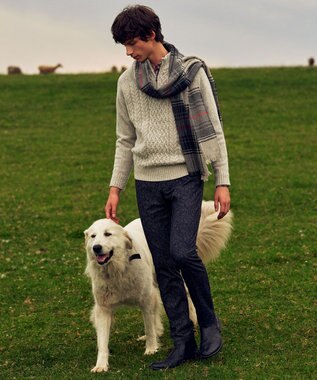 JOSEPH ABBOUD 【イタリア糸使用/軽く暖かい/多色展開】 ラムウールケーブル柄ハーフZIPプルオーバー ライトグレー系