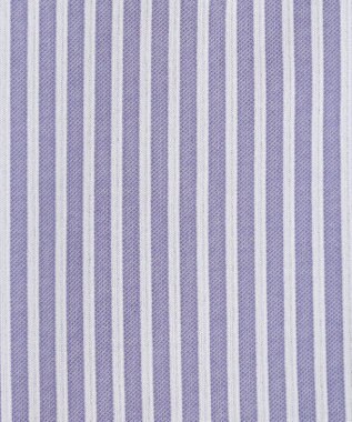 J.PRESS LADIES 【WEB限定・洗える】ストライプジャージー フレア カットソー 【WEB限定】パープルストライプ系