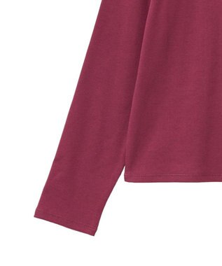 Green Parks ・ＳＵＧＡＲ　ＳＰＯＯＮ　レイヤードライクリブロンＴＥＥ Bordeaux