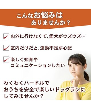 PET PARADISE ペットパラダイス わくわく ハードル トイ オレンジ