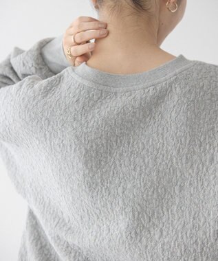 AMERICAN HOLIC フクレジャガードプルオーバー Light Gray Mixture