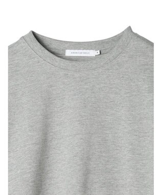 AMERICAN HOLIC 袖異素材ミニ裏毛プルオーバー Light Gray Mixture