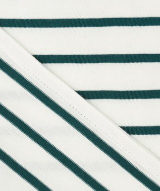 ANY 【接触冷感・UVケア】TCオーガビッツボーダー Tシャツ オフ×グリーン