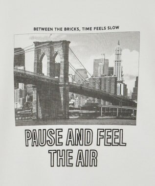 AMERICAN HOLIC アソートロゴロンＴ C