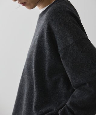 AMERICAN HOLIC ラメ裏毛ショートスウェット Dark Gray Mixture