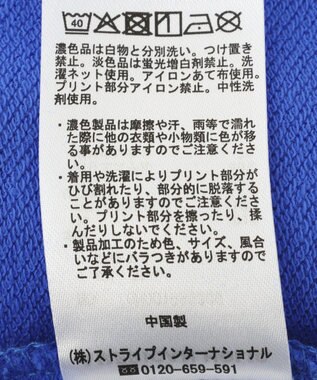 AMERICAN HOLIC 【TOY STORY 5】ハーフZIPプルオーバー Blue