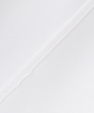 GOTAIRIKU 【形態安定】PREMIUMPLEATS_スナップダウン 通年ドレスシャツ ホワイト系