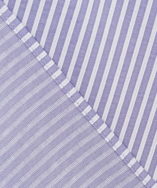 J.PRESS LADIES S 【WEB限定・洗える】ストライプジャージー フレア カットソー 【WEB限定】パープルストライプ系