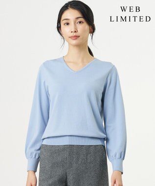 J.PRESS LADIES S 【WEB限定・人気定番アイテム・シーンレスに活躍】PRINCE Vネック ニット サックス系