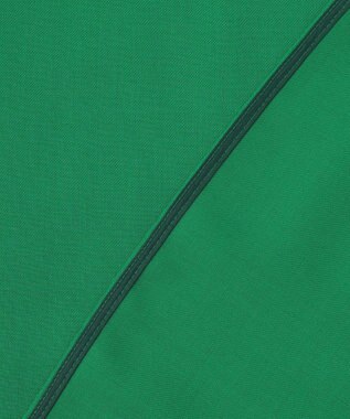 ICB アルタニカツイル バンドカラーブラウス グリーン