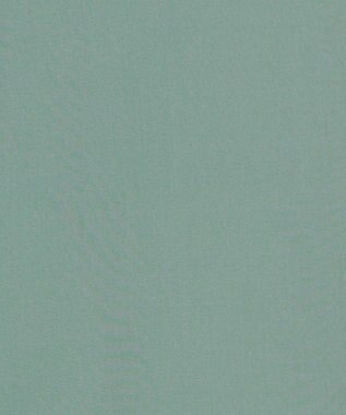 J.PRESS YORK STREET 【WOMEN】ワンウォッシュタイプライター リボンタイバンドカラー ブラウス グリーン系