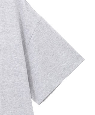 Green Parks フォトプリントボックスＴシャツ Gray Mixture