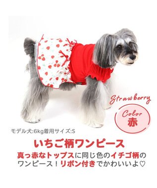 犬 服 夏服 ワンピース 小型犬 苺 赤 ペットウエア ペットウェア ドッグウエア ドッグウェア ベビー 超小型犬 小型犬 Pet Paradise ファッション通販 公式通販 オンワード クローゼット