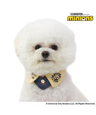 PET PARADISE ミニオン ティム デニム首輪 【３Ｓ】 襟付き 小型犬 紺（ネイビー・インディゴ）