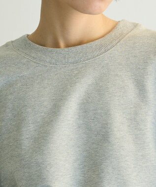 Green Parks ａ．タックスリーブスウェット Gray