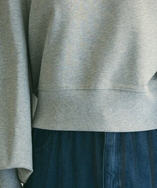 Green Parks ａ．タックスリーブスウェット Gray