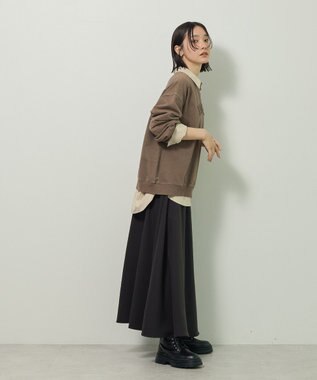 Green Parks ピグメントロゴ刺繍裏毛プルオーバー Brown