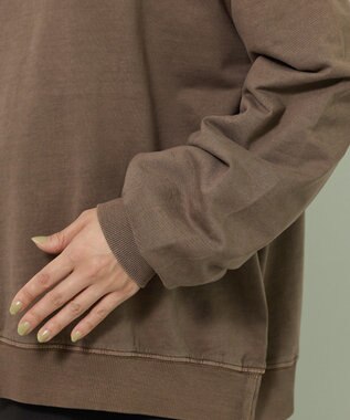 Green Parks ピグメントロゴ刺繍裏毛プルオーバー Brown