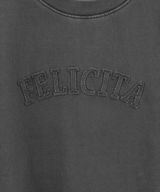 Green Parks ピグメントロゴ刺繍裏毛プルオーバー Charcoal Gray