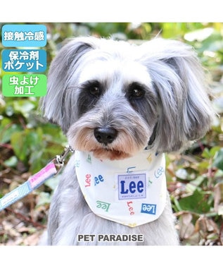 犬 クール バンダナ ひんやり 夏 保冷剤付き Ｌｅｅ ロゴ柄 ネッククーラー 〔小型犬〕 首元 ひんやり バンダナ ひんやり 涼感 冷却 吸水速乾  キャラクター, 白~オフホワイト, ３Ｓ