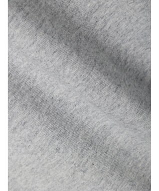 Green Parks ＮＹＣ　ロングＴシャツII Gray Mixture