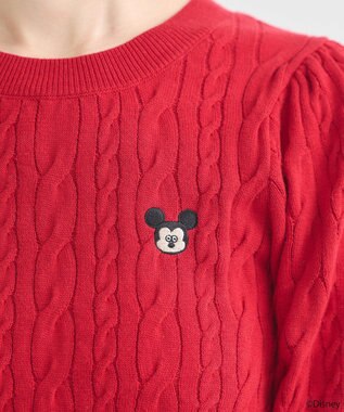 earth music&ecology Ｄｉｓｎｅｙ×Ｓｅｉｊｉ　Ｍａｔｓｕｍｏｔｏ刺繍ニット Red