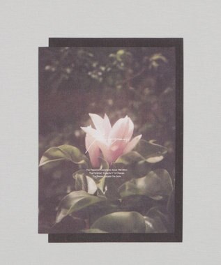 WEGO 【2点SET】アクセ付きフォトグラフィックT（SS） ライトグレー